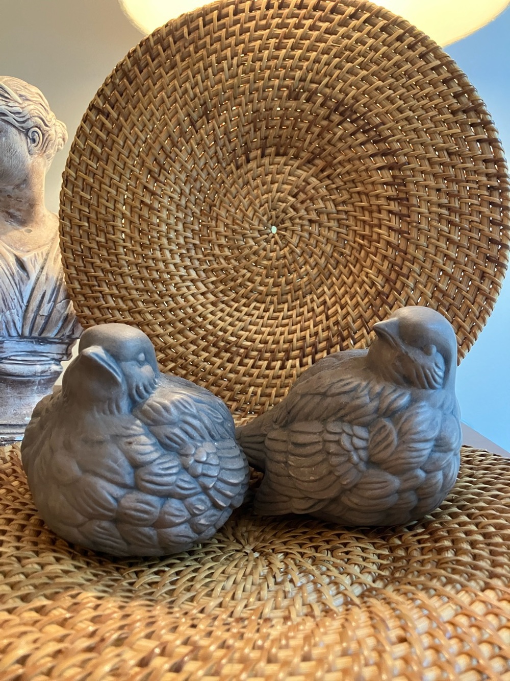 Pair clay birds